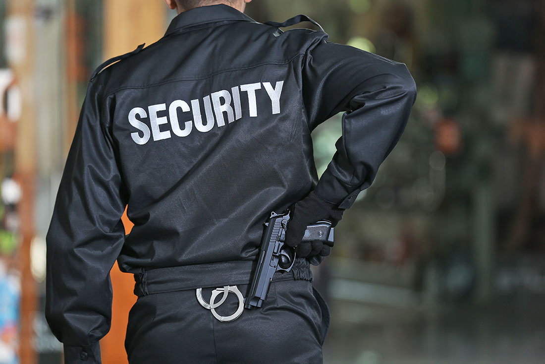 Security Consultation Services